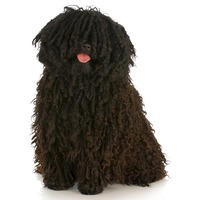 Puli